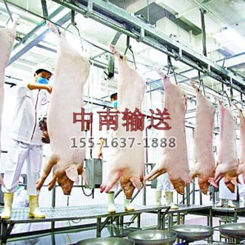 屠宰生产线 屠宰生产线